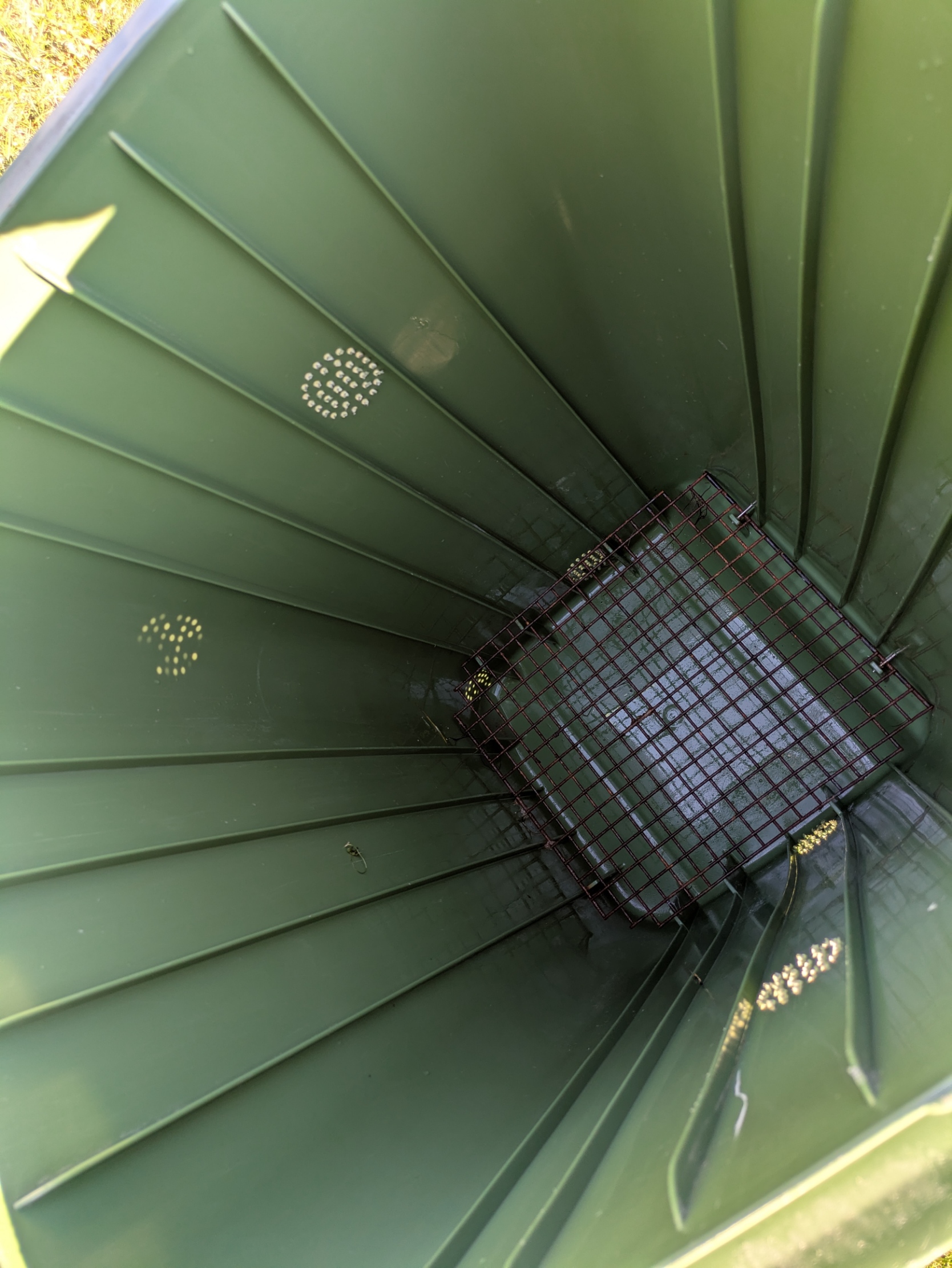 Clean Residential Bin After Cleaning